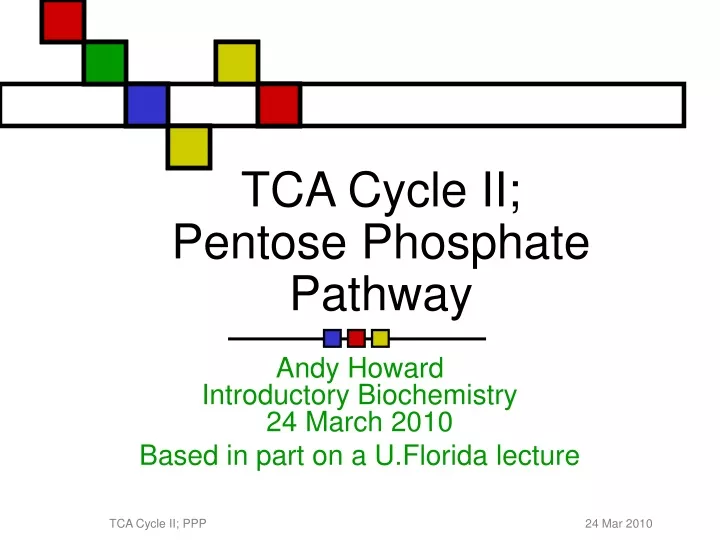 tca cycle ii pentose phosphate pathway