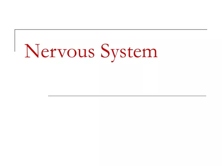 nervous system