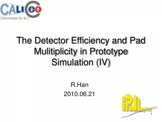 The Detector Efficiency and Pad Mulitiplicity in Prototype Simulation (IV)