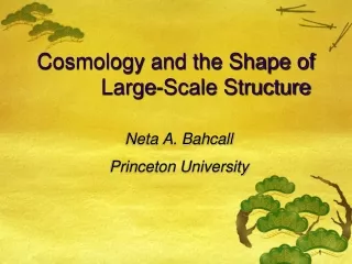 Cosmology and the Shape of           Large-Scale Structure