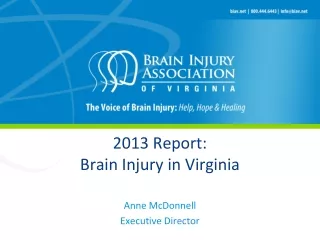 2013 Report: Brain Injury in Virginia
