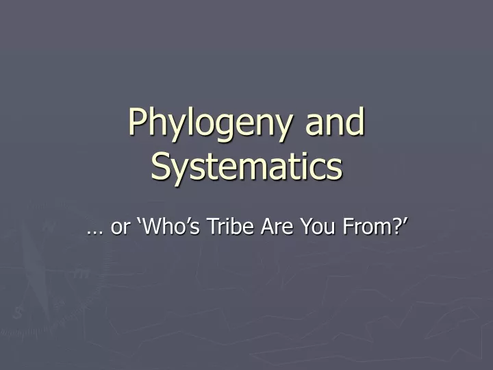 phylogeny and systematics