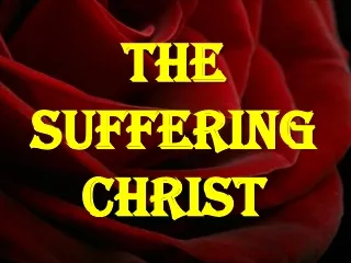 The  suffering  christ