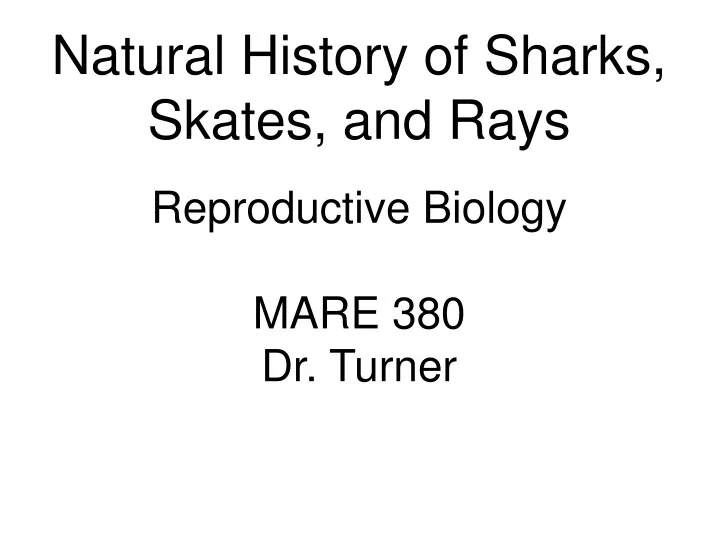 natural history of sharks skates and rays