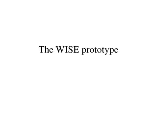 The WISE prototype