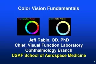 Color Vision Fundamentals