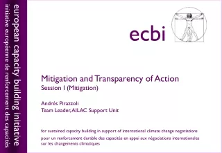 Mitigation and Transparency of Action Session I (Mitigation) Andr és Pirazzoli