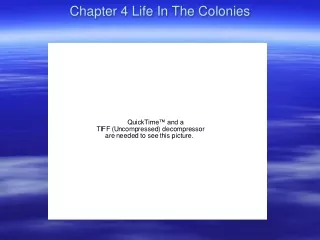 Chapter 4 Life In The Colonies