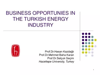 BUSINESS OPPORTUNIES IN THE TURKISH ENERGY INDUSTRY