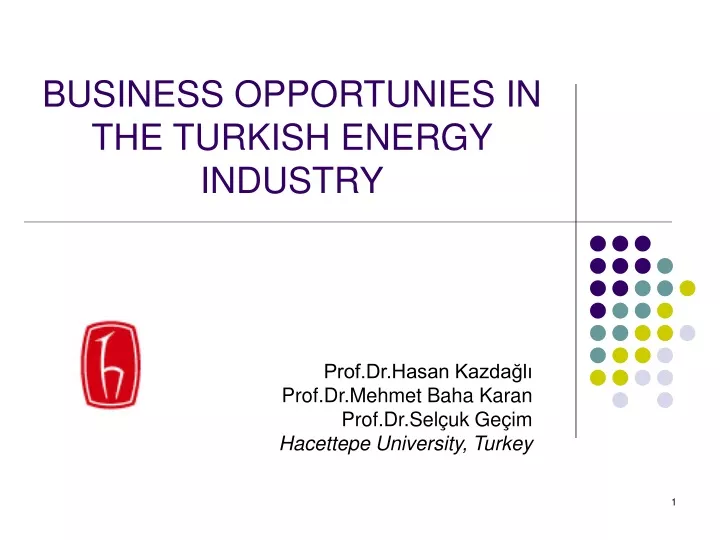 business opportunies in the turkish energy industry