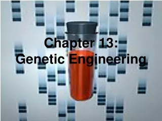 Chapter 13:   Genetic Engineering