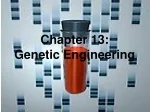Chapter 13:   Genetic Engineering - slide 1
