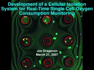 Development of a Cellular Isolation System for Real-Time Single Cell Oxygen Consumption Monitoring