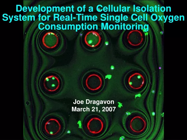 development of a cellular isolation system for real time single cell oxygen consumption monitoring