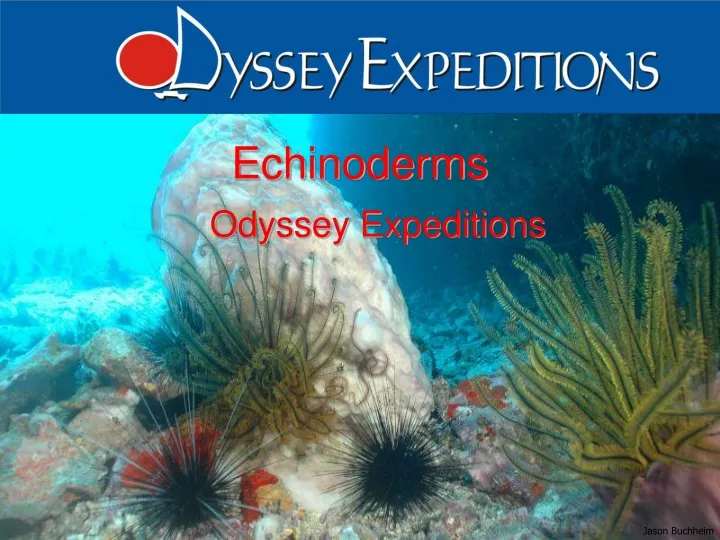 echinoderms