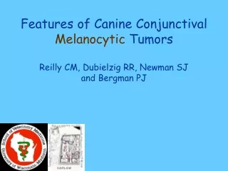 Features of Canine Conjunctival  Melanocytic  Tumors