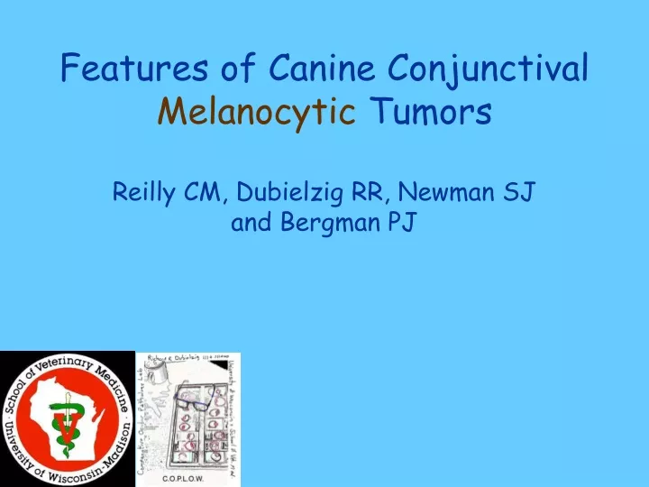 features of canine conjunctival melanocytic tumors