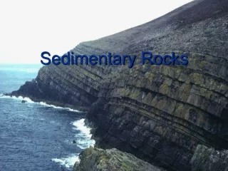 Sedimentary Rocks