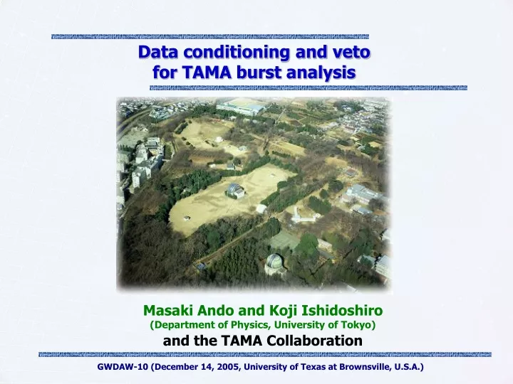 data conditioning and veto for tama burst analysis