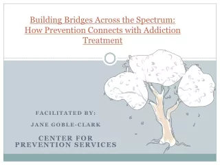 Building Bridges Across the Spectrum:   How Prevention Connects with Addiction Treatment