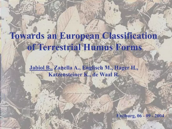 towards an european classification of terrestrial