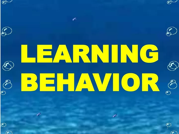 learning behavior