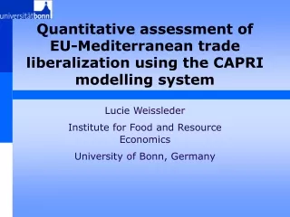 Quantitative assessment of EU-Mediterranean trade liberalization using the CAPRI modelling system
