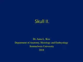 Skull II.