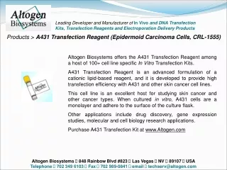Products &gt; A431 Transfection Reagent (Epidermoid Carcinoma Cells, CRL-1555)