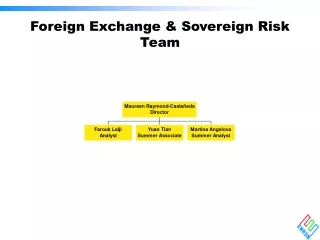 Foreign Exchange &amp; Sovereign Risk Team