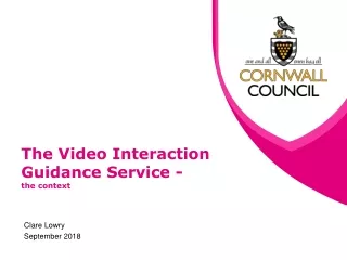 The Video Interaction Guidance Service - the context