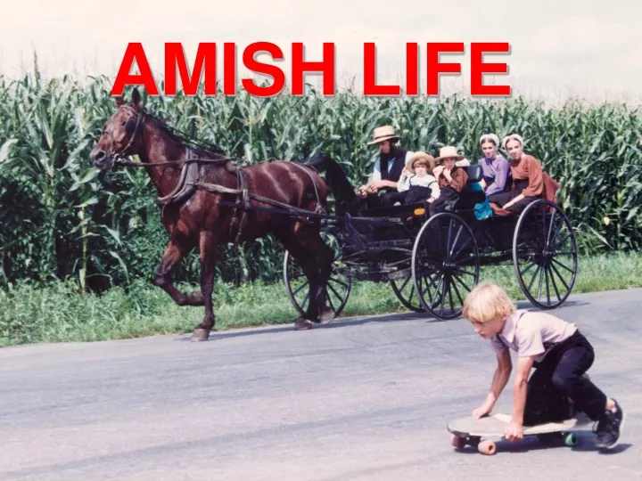 amish life