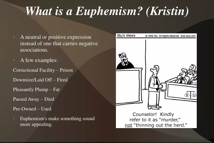 what is a euphemism kristin