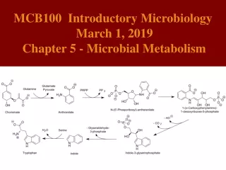 MCB100  Introductory Microbiology  March 1, 2019 Chapter 5 - Microbial Metabolism