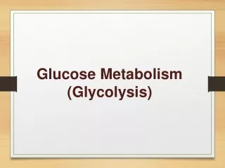 Glucose Metabolism (Glycolysis)