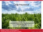 Crop Insurance - slide 1