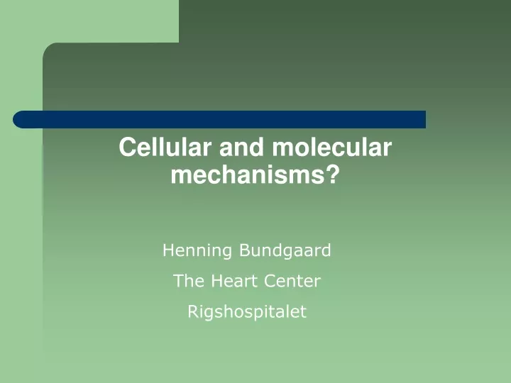 cellular and molecular mechanisms