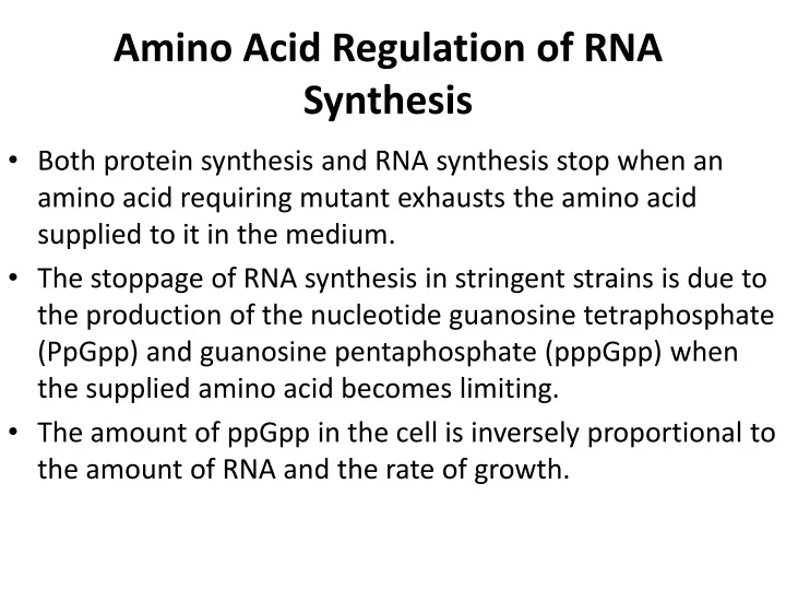 amino acid regulation of rna synthesis