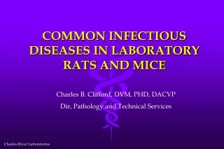 COMMON INFECTIOUS DISEASES IN LABORATORY RATS AND MICE