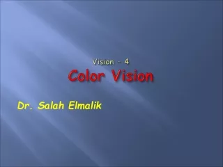 Vision – 4 Color Vision