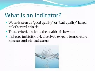 What is an Indicator?