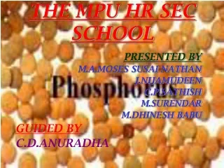 THE MPU HR SEC SCHOOL