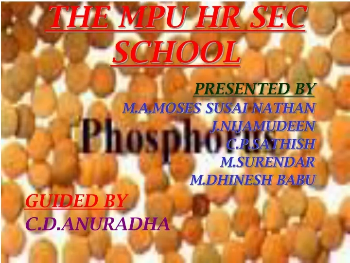 the mpu hr sec school