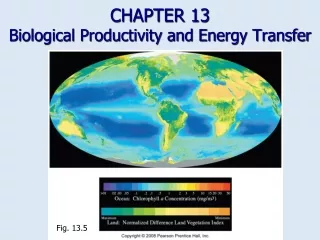 CHAPTER 13 Biological Productivity and Energy Transfer