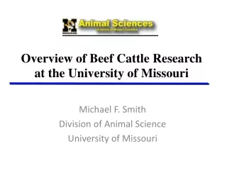 Overview of Beef Cattle Research at the University of Missouri