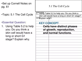 Set up Cornell Notes on pg. 61 Topic: 5.1 The Cell Cycle Essential Question :