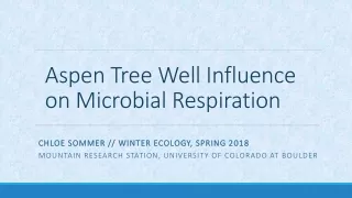Aspen Tree Well Influence on Microbial  Respiration