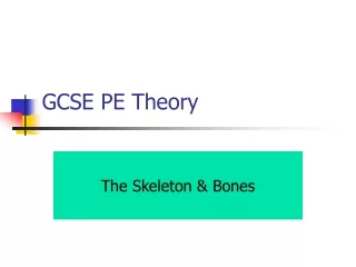 GCSE PE Theory