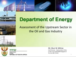 Assessment of the Upstream Sector in the Oil and Gas Industry