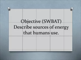 Objective (SWBAT) Describe sources of energy that humans use.